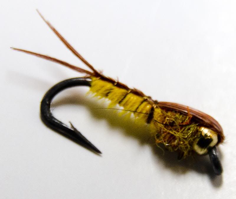 wing cases The Fly Tying Bench Fly Tying